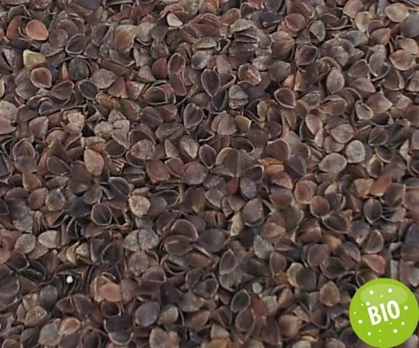 Bio-Bio Buchweizenkissen Komfort-extra 40x80cm Bio-Steppware Direkt Befüllt – Bild 9