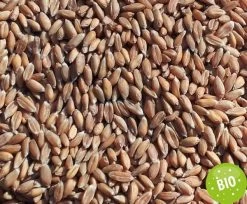 Füllstoff Bio Dinkel 1kg