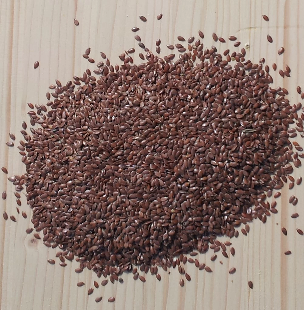 Füllstoff Leinsamen 1kg – Bild 2