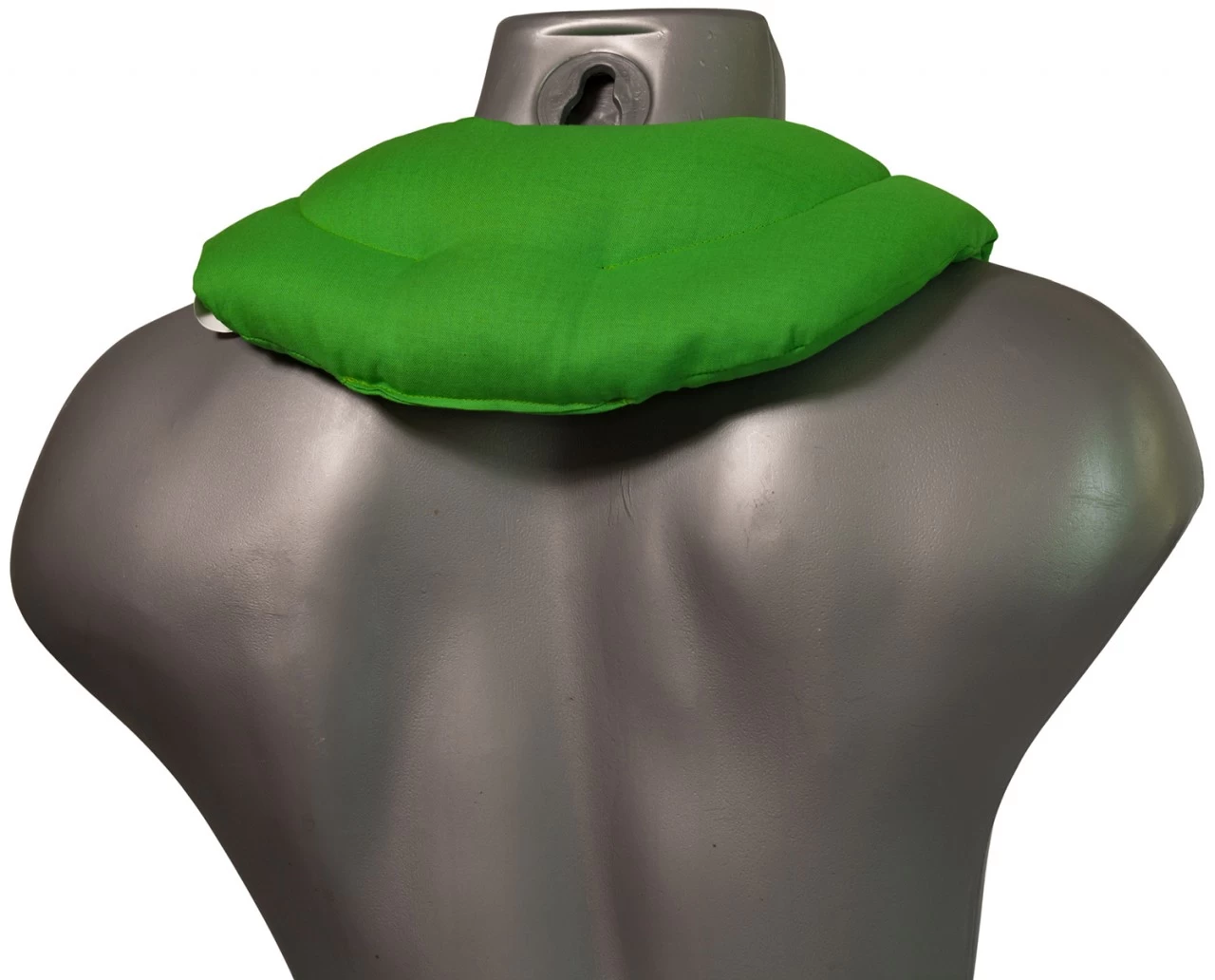 Nackenhörnchen Mit Kammern, Froschgrün – Bild 5