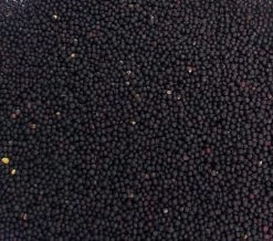 Füllstoff Rapssamen 1kg