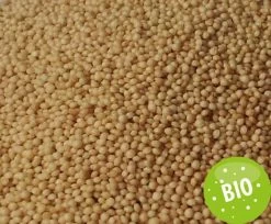 Füllstoff Bio Amaranth