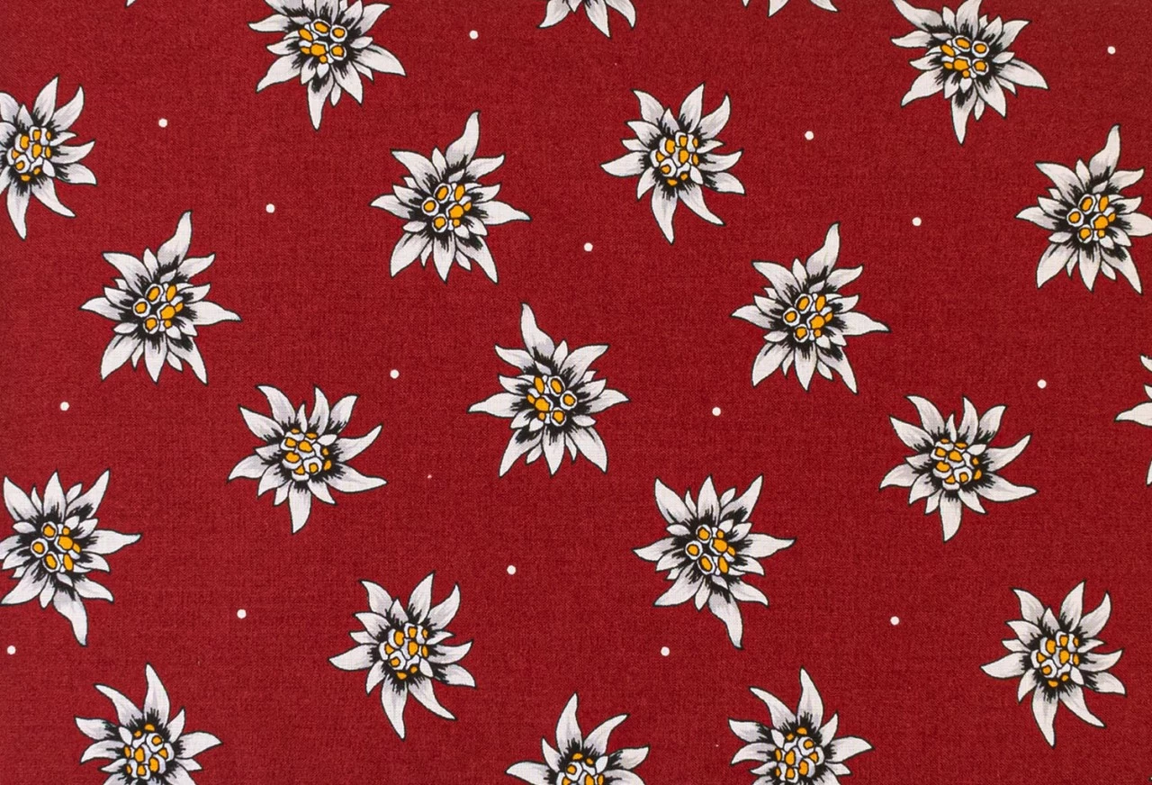 7-Kammer Wärmekissen, 65x15cm, Blume Edelweiß – Bild 6