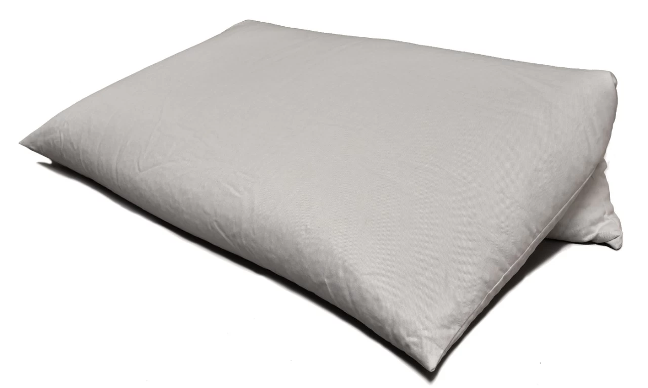 Bio Dinkelspelzkissen 80x80cm Weiß Direkt Befüllt