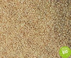 Füllstoff Bio Hirseschalen 1kg