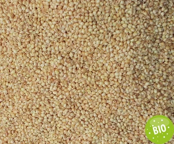 Bio Hirsekissen 40x80cm Weiß Direkt Befüllt – Bild 4