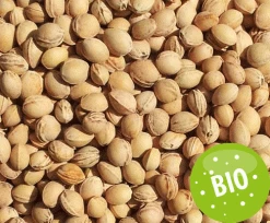 Füllstoff Kirschkerne Aus Bio-Anbau 10kg