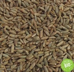 Füllstoff Bio Roggen 1kg