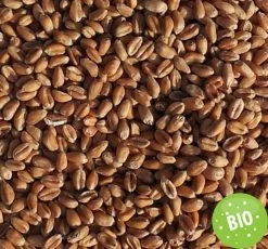 Füllstoff Bio Weizen 1kg