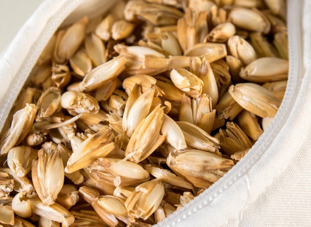 Bio-Dinkelspelzkissen 20x40cm Mit RV Steppware Weiß – Bild 4