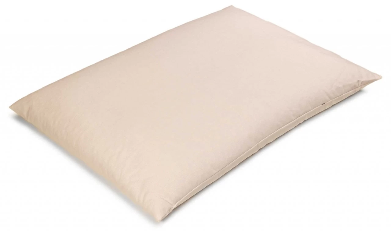 Bio Dinkelspelzkissen 40x60cm Rohweiß Direkt Befüllt