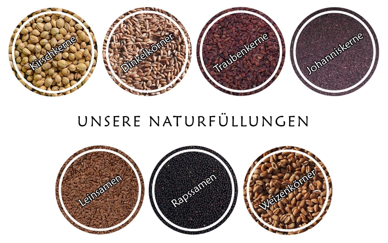 Nackenhörnchen Mit Kammern, Froschgrün – Bild 4